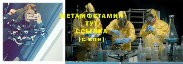 крисы Абаза