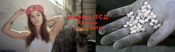 стаф Алексин