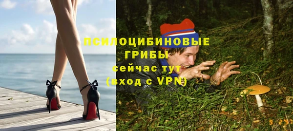 твердый Алексеевка