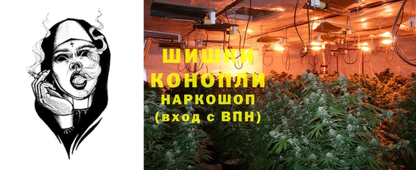 дживик Абинск