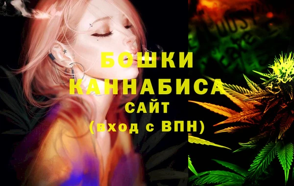 дживик Абинск