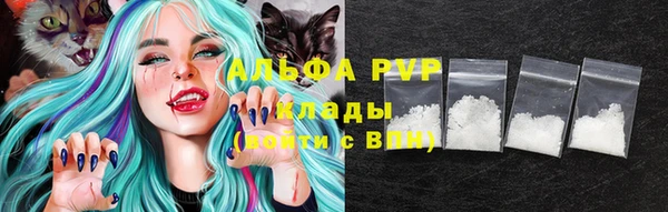 крисы Абаза